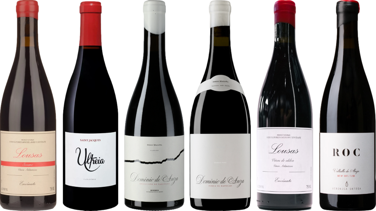 Mencia Premium Verkostungsset