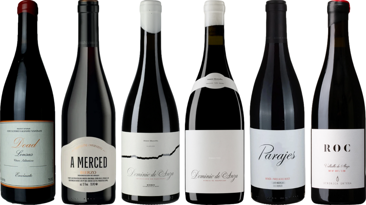 Mencia Premium Verkostungsset