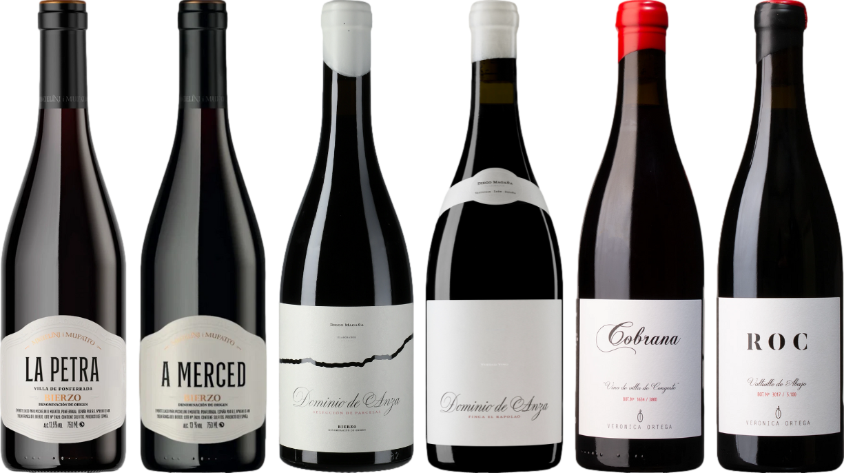 Mencia Premium Verkostungsset