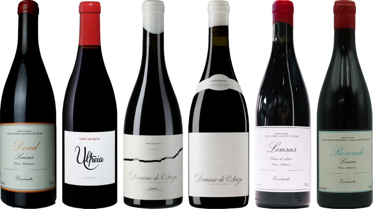 Mencia Premium Verkostungsset