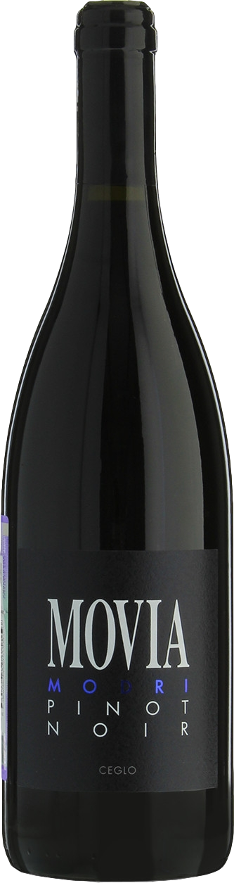 Movia Modri Pinot Noir 2021