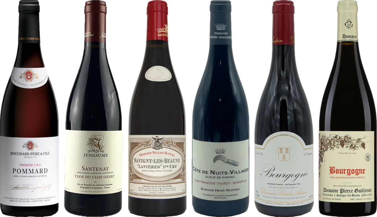 Rot-Burgunder Verkostungsset