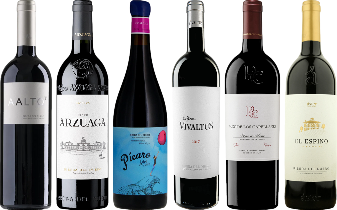 Ribera del Duero Premium Verkostungset