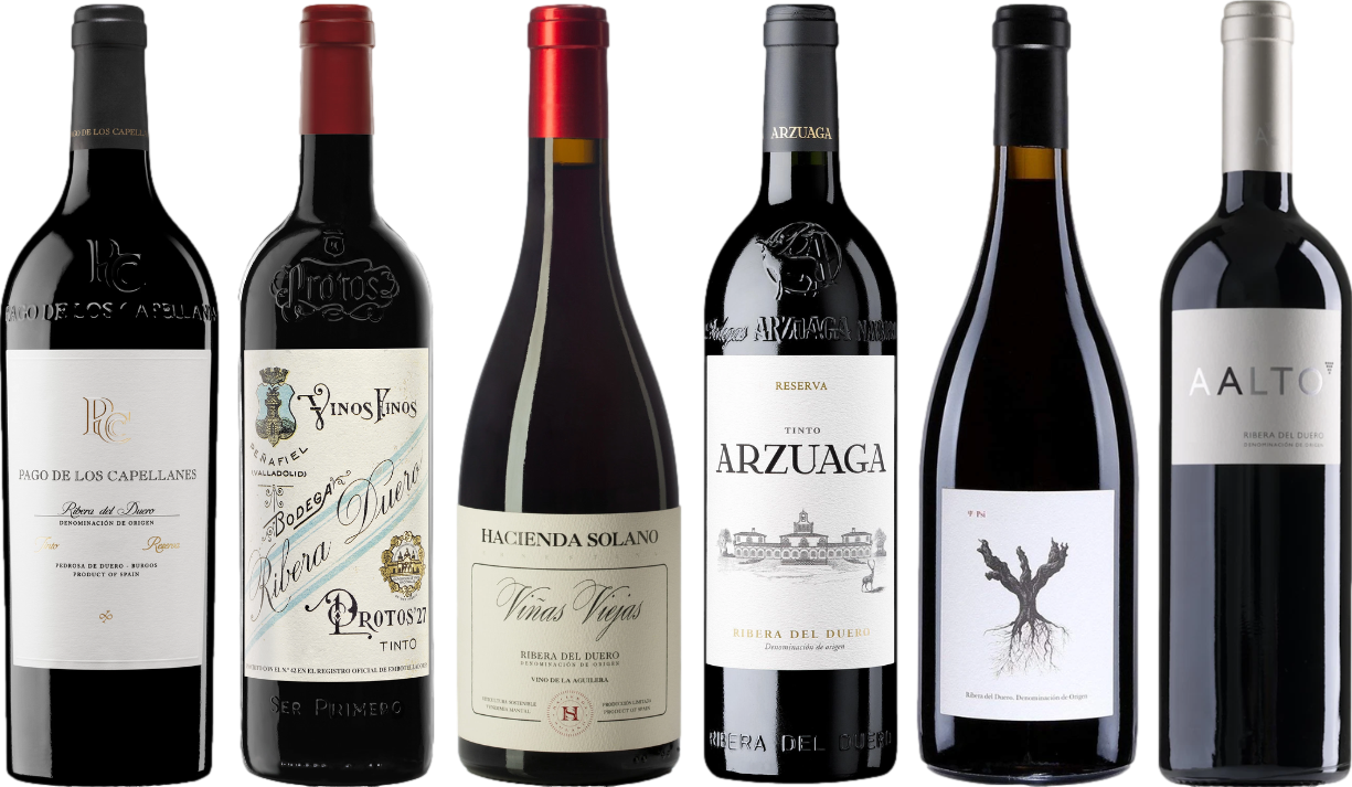 Ribera del Duero Premium Verkostungset