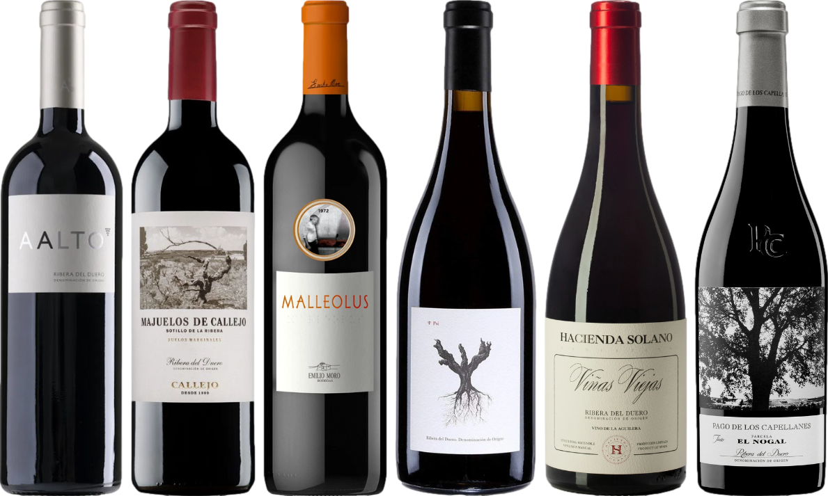 Ribera del Duero Premium Verkostungset