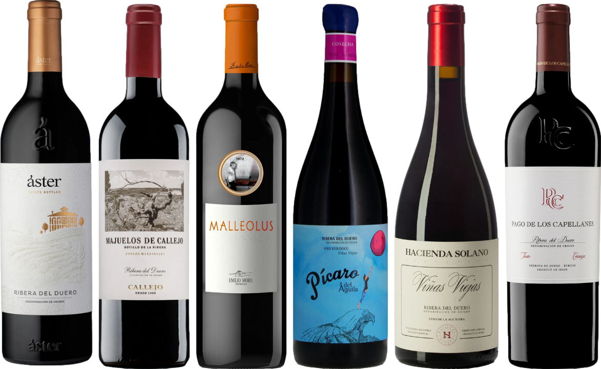 Ribera del Duero Premium Verkostungset
