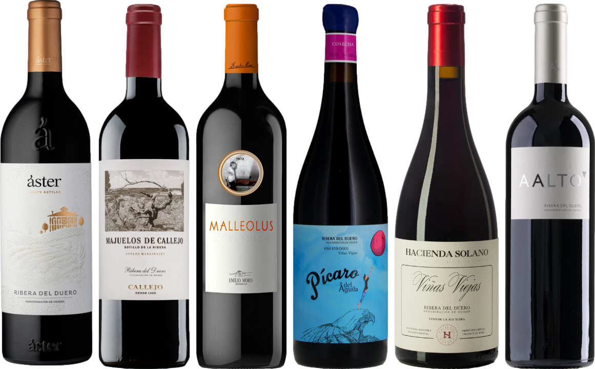 Ribera del Duero Premium Verkostungset