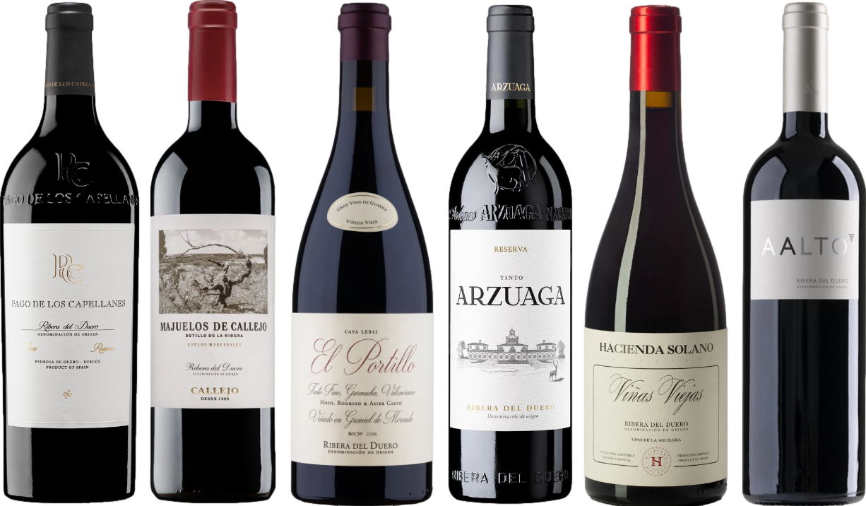Ribera del Duero Premium Verkostungset