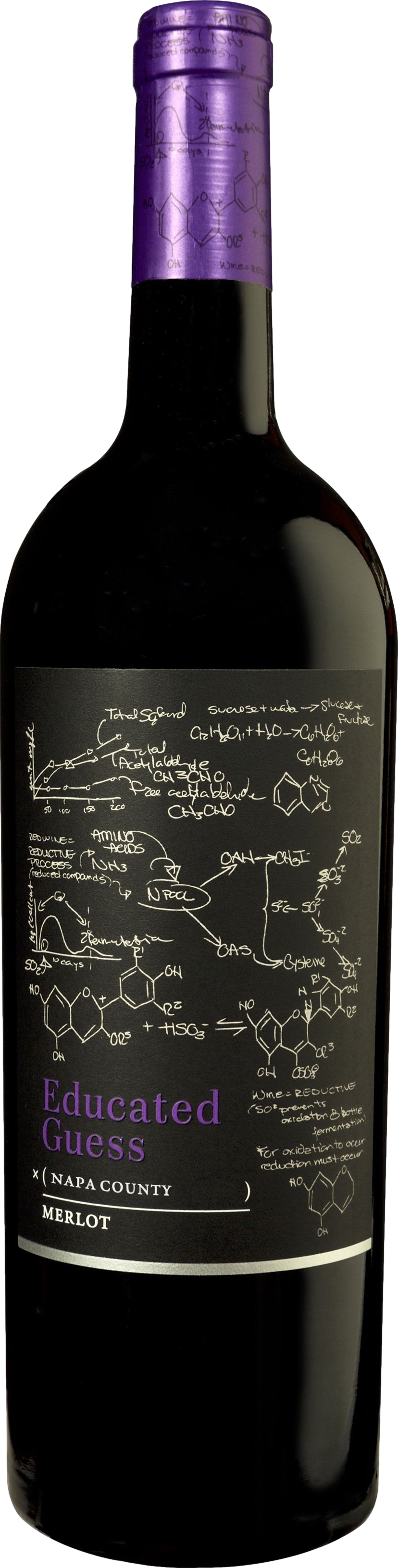 Roots Run Deep Educated Guess Merlot 2023