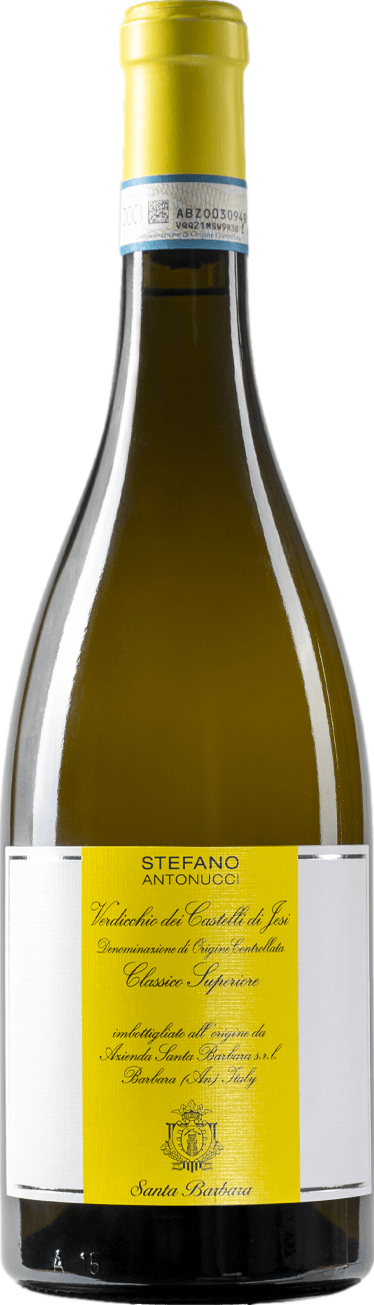 Santa Barbara Stefano Antonucci Verdicchio dei Castelli di Jesi Classico Superiore 2023