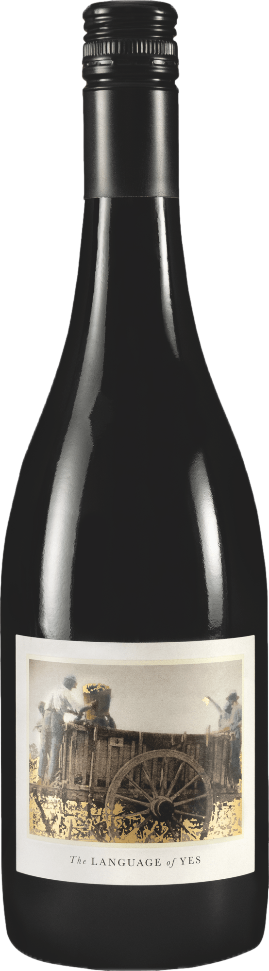 The Language of Yes Syrah 2022