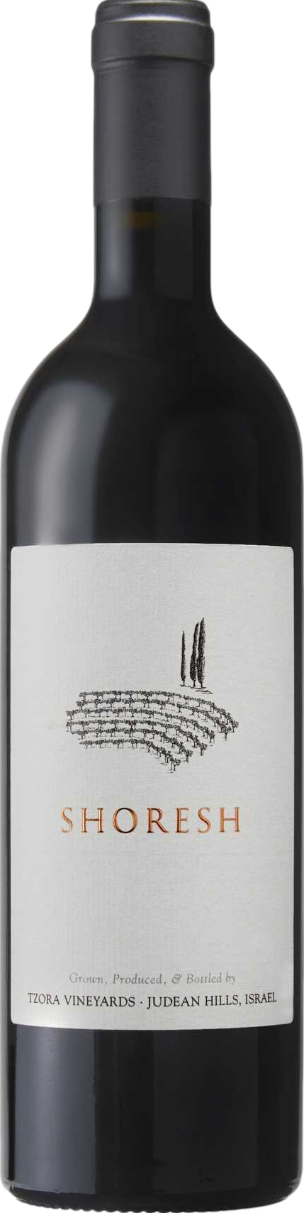 Tzora Shoresh 2024
