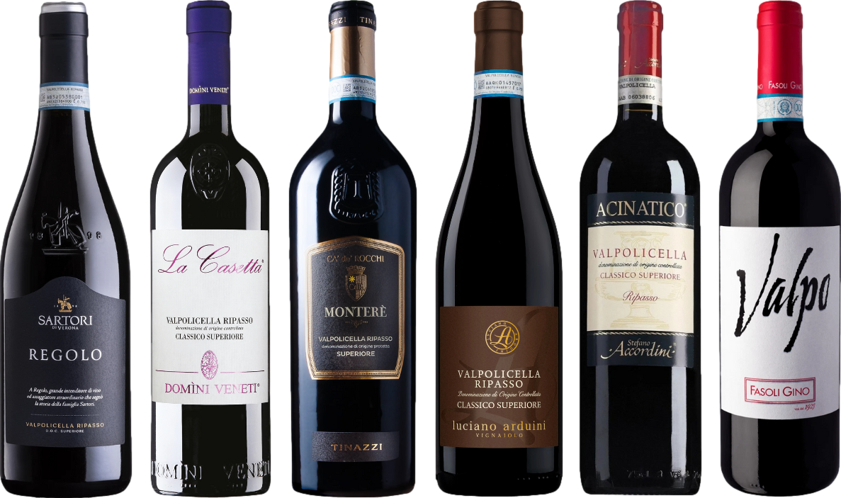 Valpolicella Ripasso Premium Verkostungsset