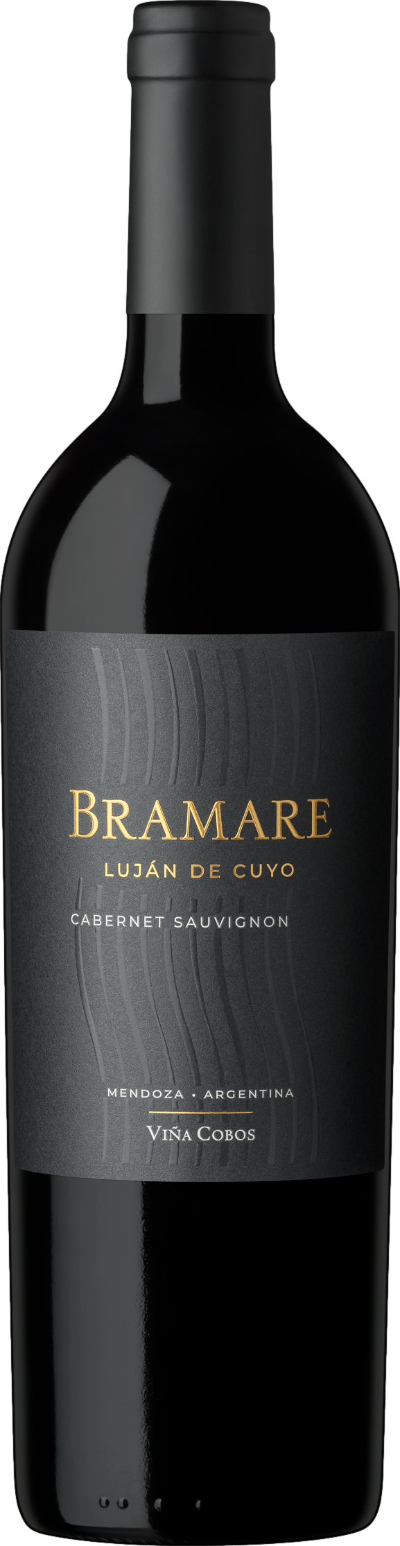 Vina Cobos Bramare Lujan de Cuyo Cabernet Sauvignon 2019