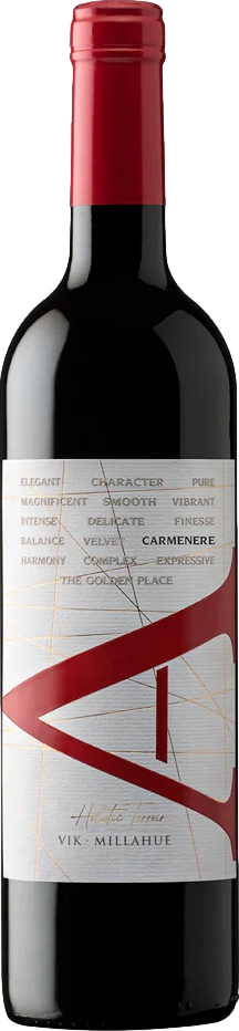 Vina Vik A Carmenere 2022