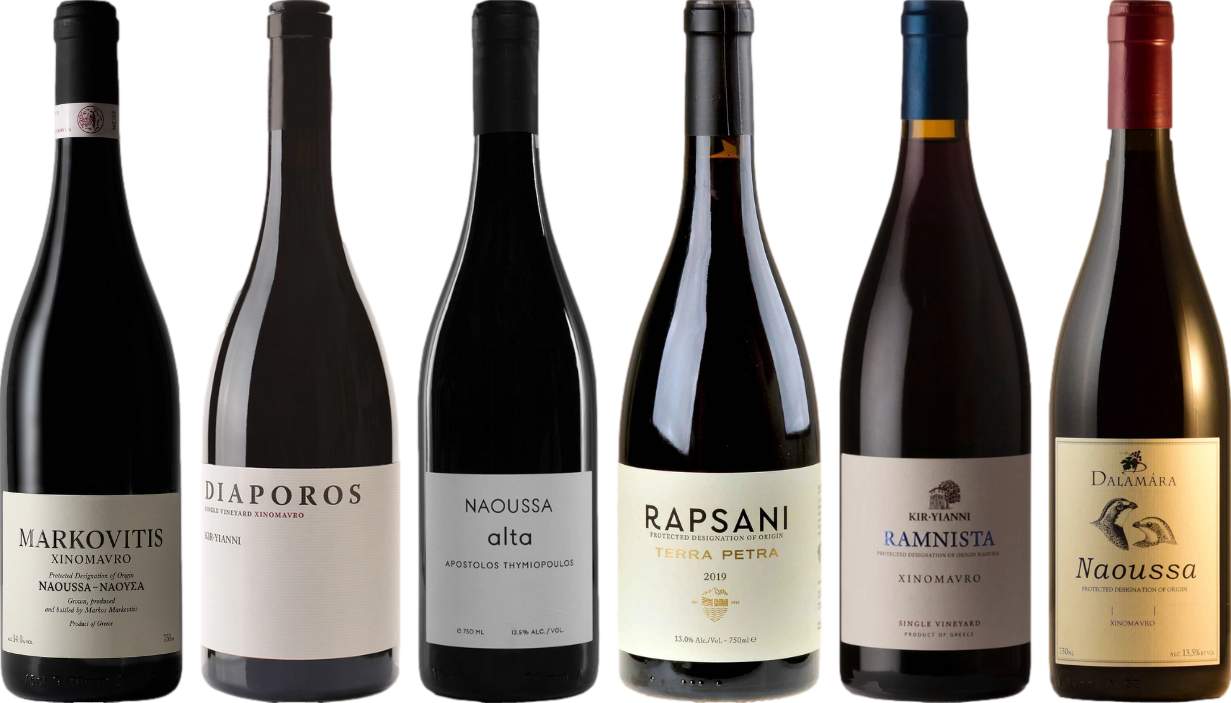 Xinomavro Premium Verkostungsset