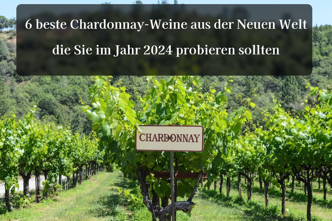 6 beste Chardonnay-Weine aus der Neuen Welt, die Sie im Jahr 2024 probieren sollten