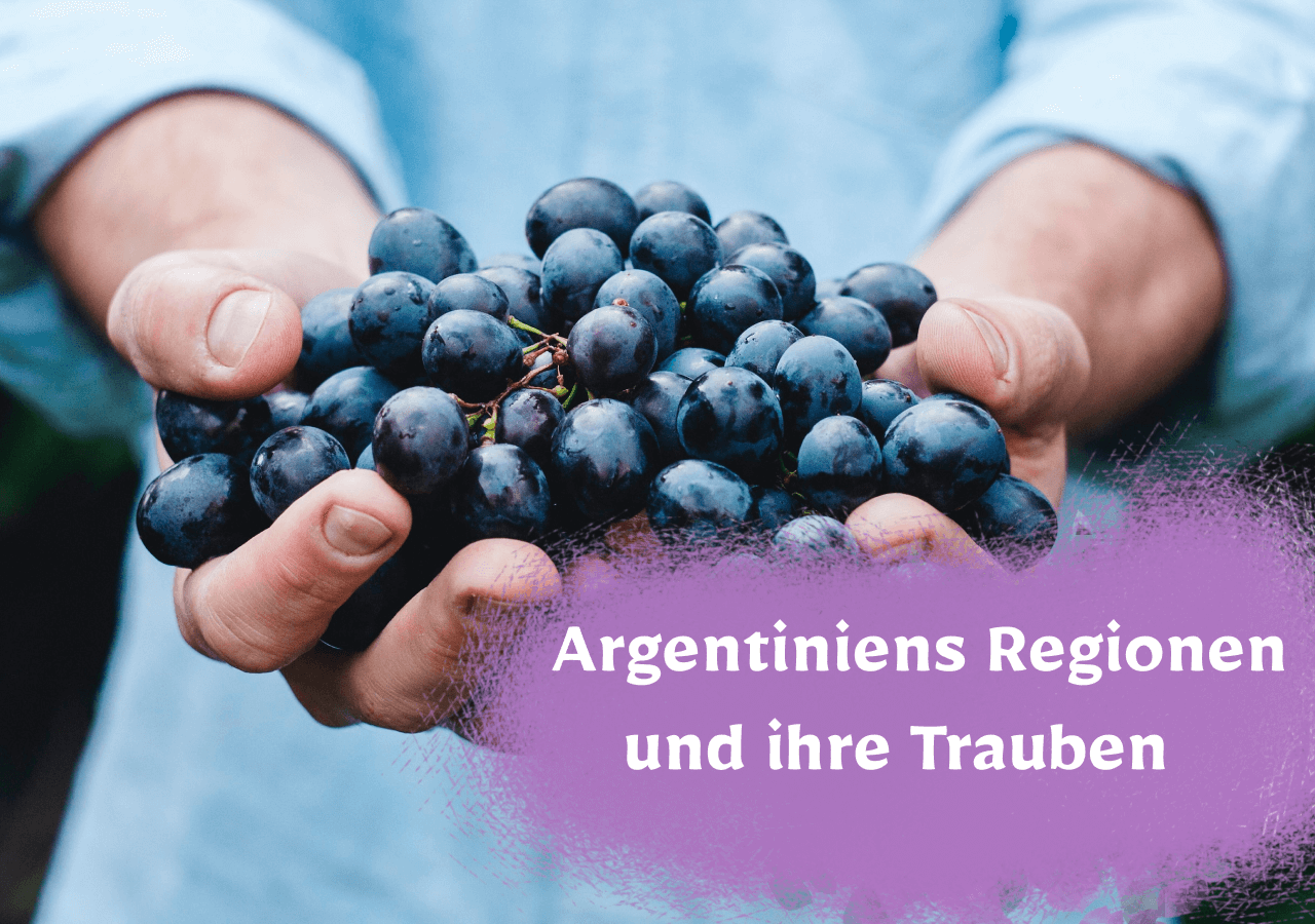 Argentiniens Regionen und ihre Trauben