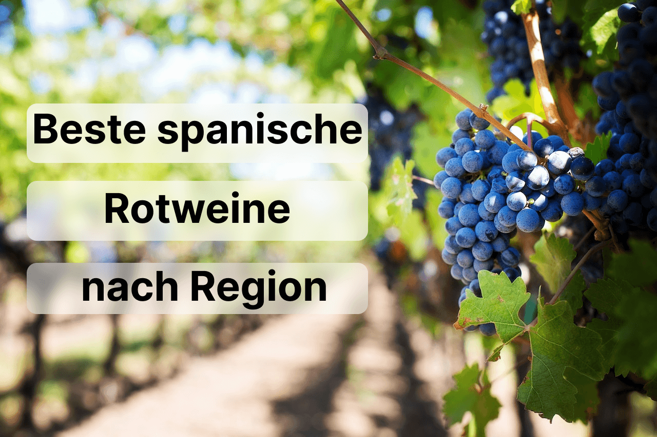 Beste spanische Rotweine nach Region