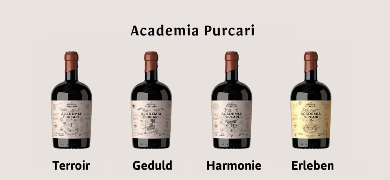 Academia Purcary