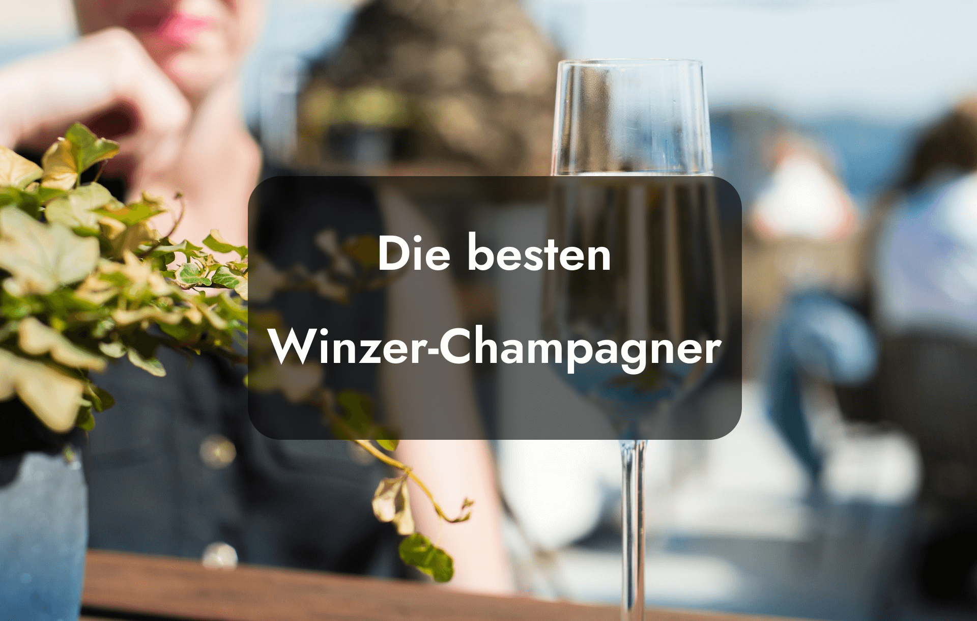 Die besten Winzer-Champagner