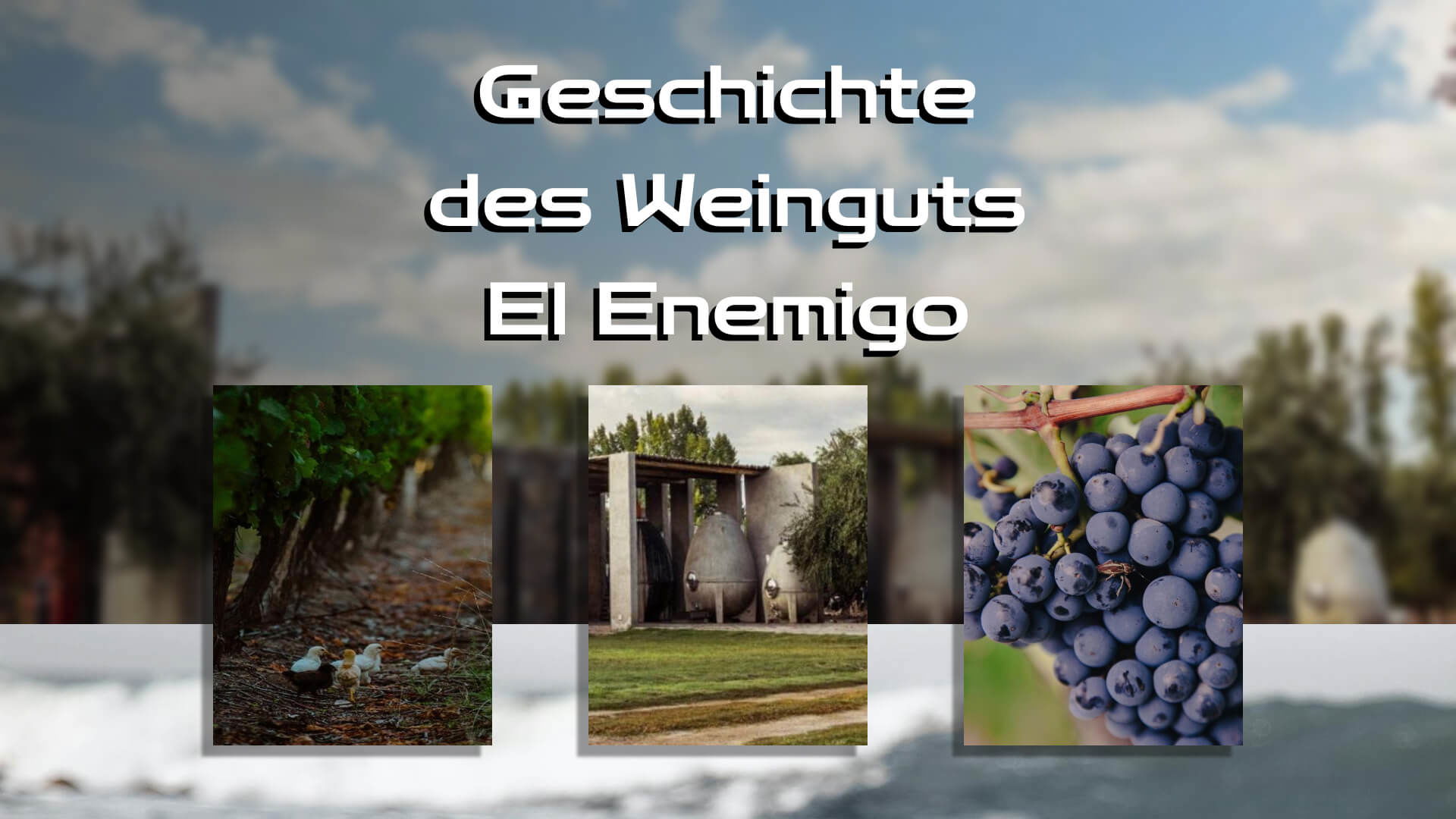 Die Geschichte der Weinkellerei El Enemigo