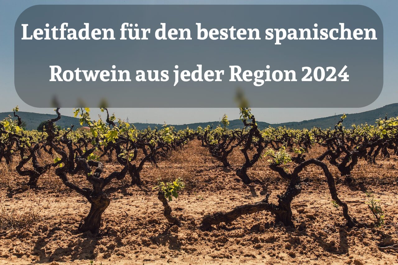 Leitfaden für den besten spanischen Rotwein aus jeder Region 2024