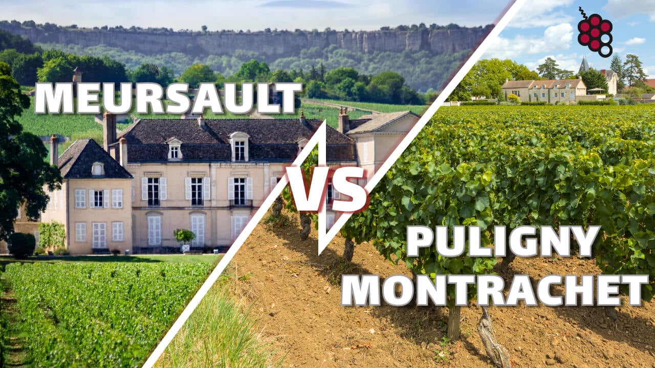 Die Schlüsselrolle des Terroirs: Meursault und Puligny Montrachet