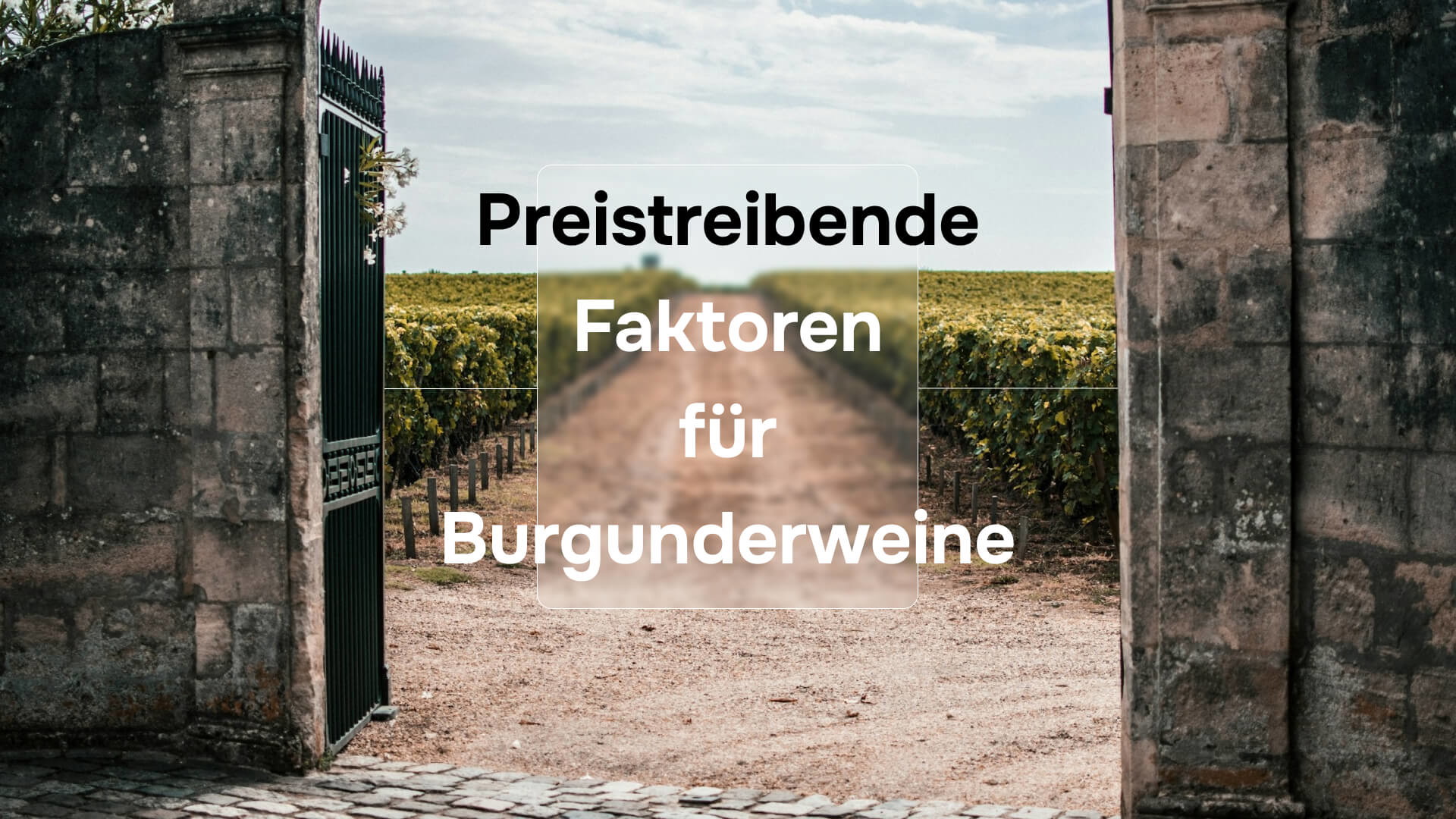 Preistreibende Faktoren für Burgunderweine