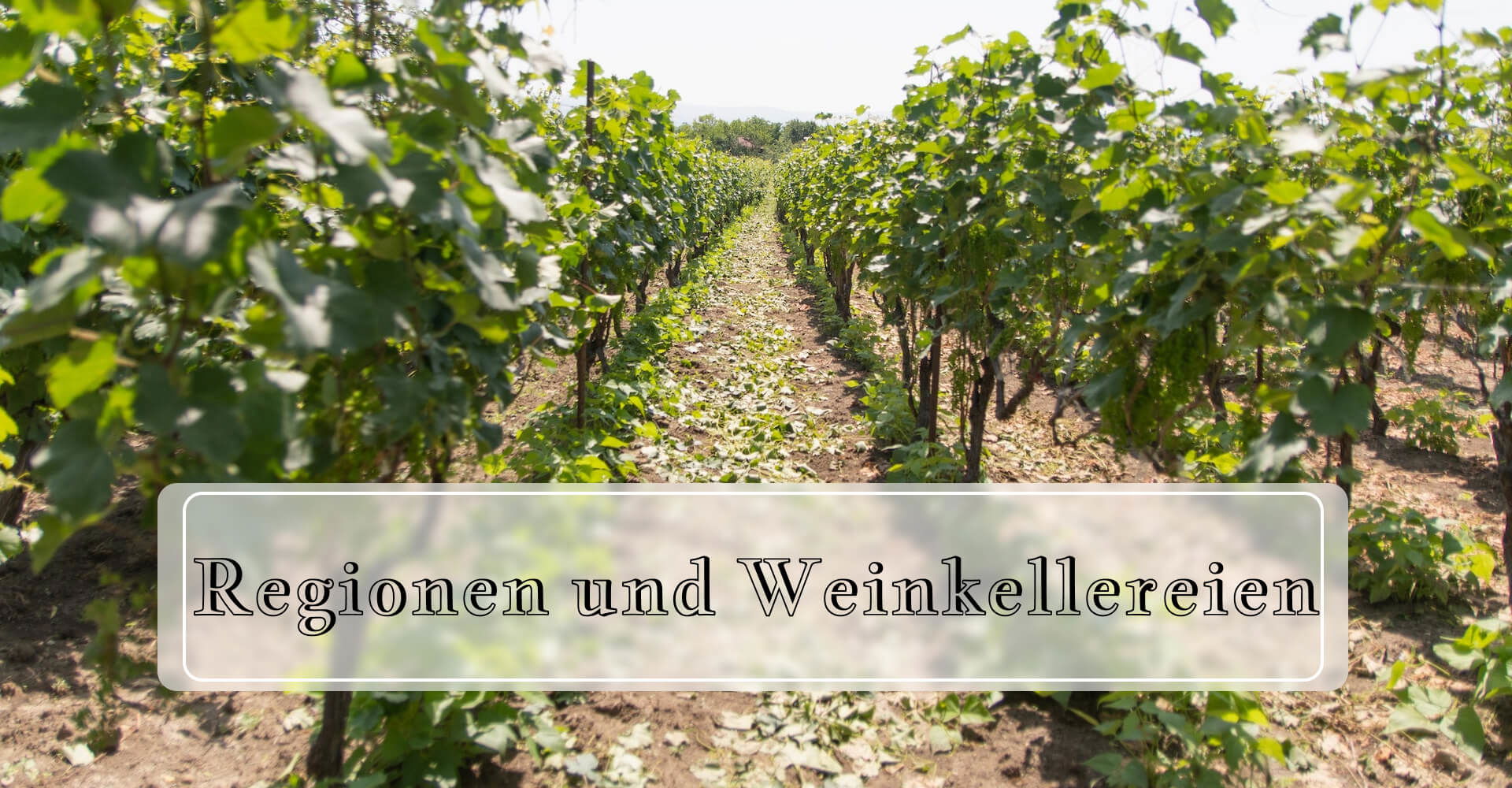 Regionen und Weinkellereien