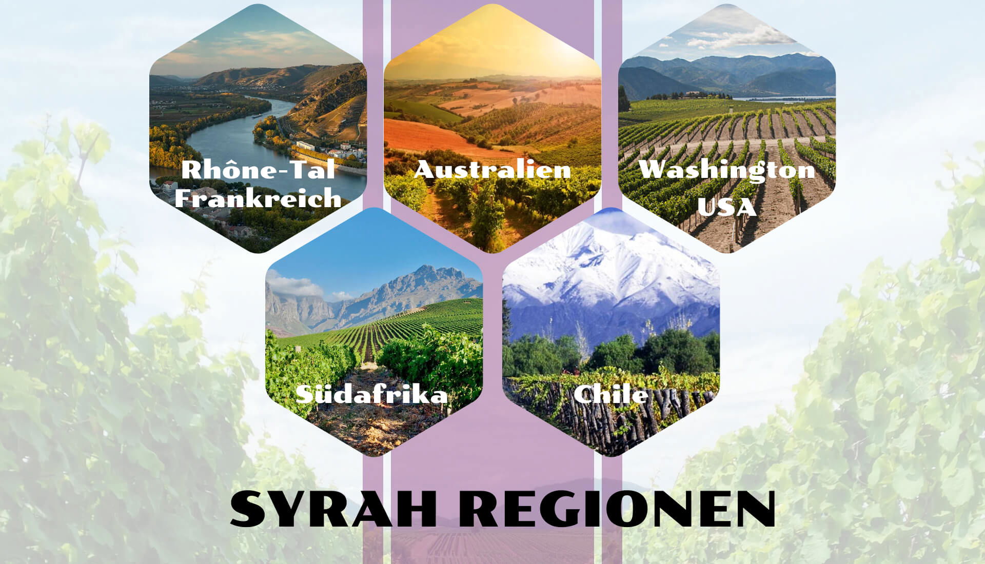 SYRAH REGIONEN