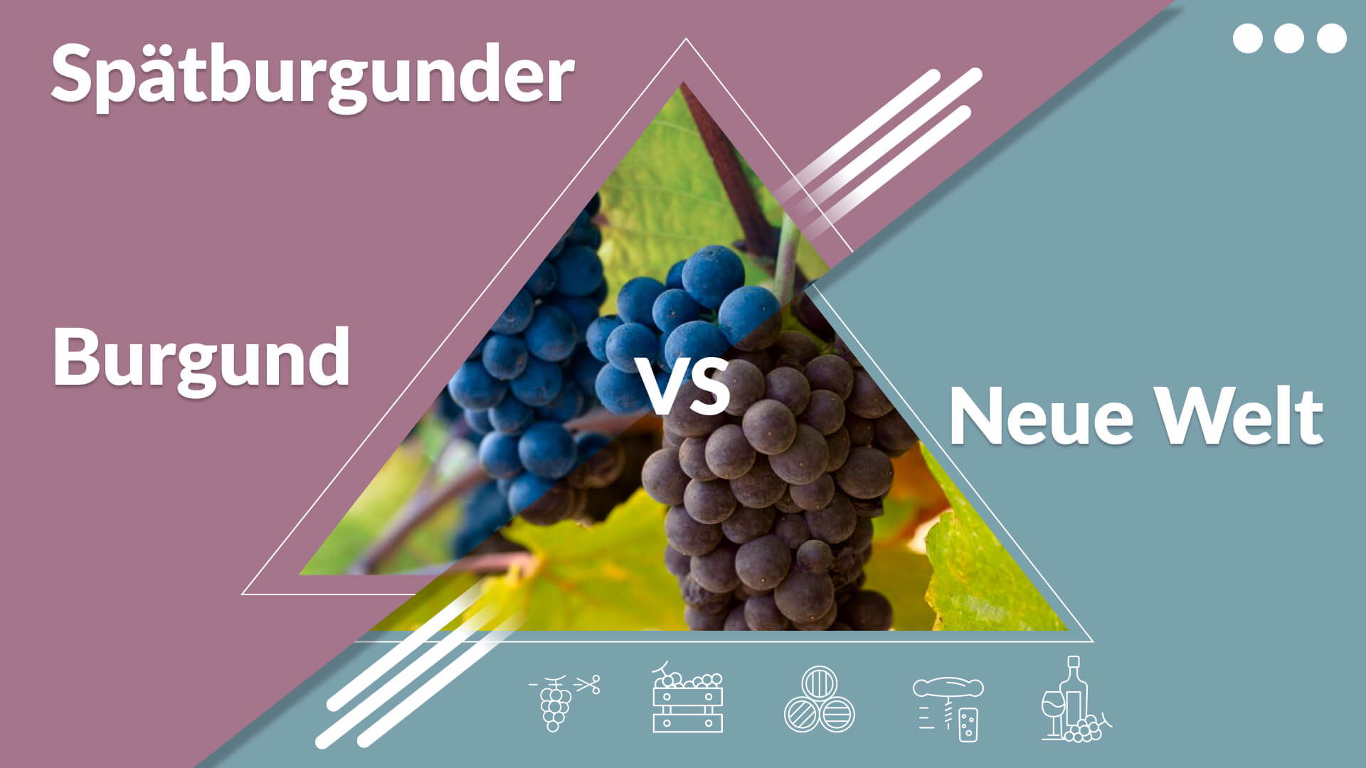 Burgunder vs. Neue Welt Pinot Noir