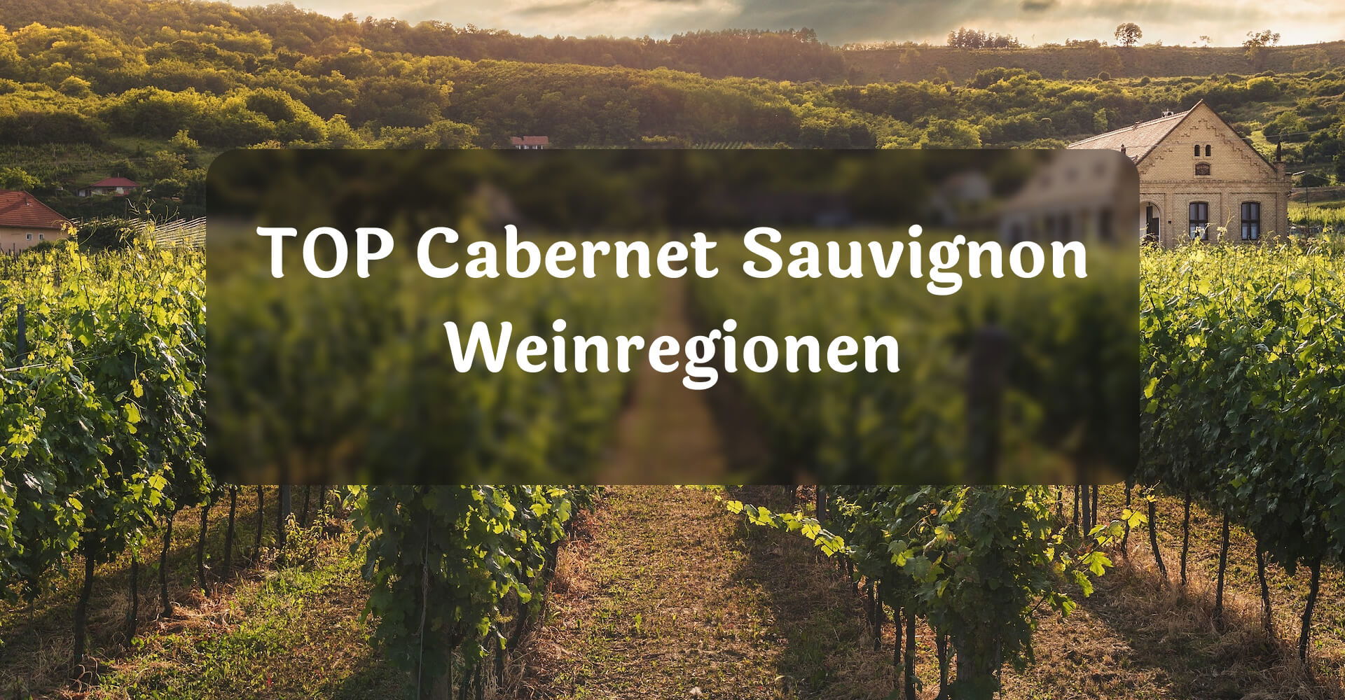 Weinregionen