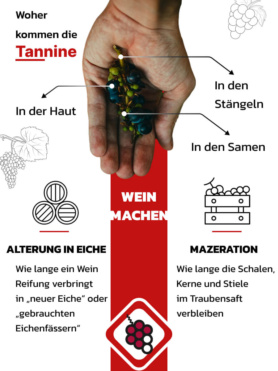 Woher kommen die Tannine