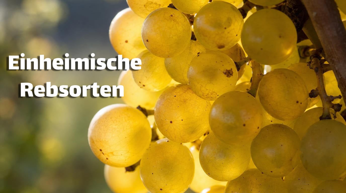 einheimische Rebsorten