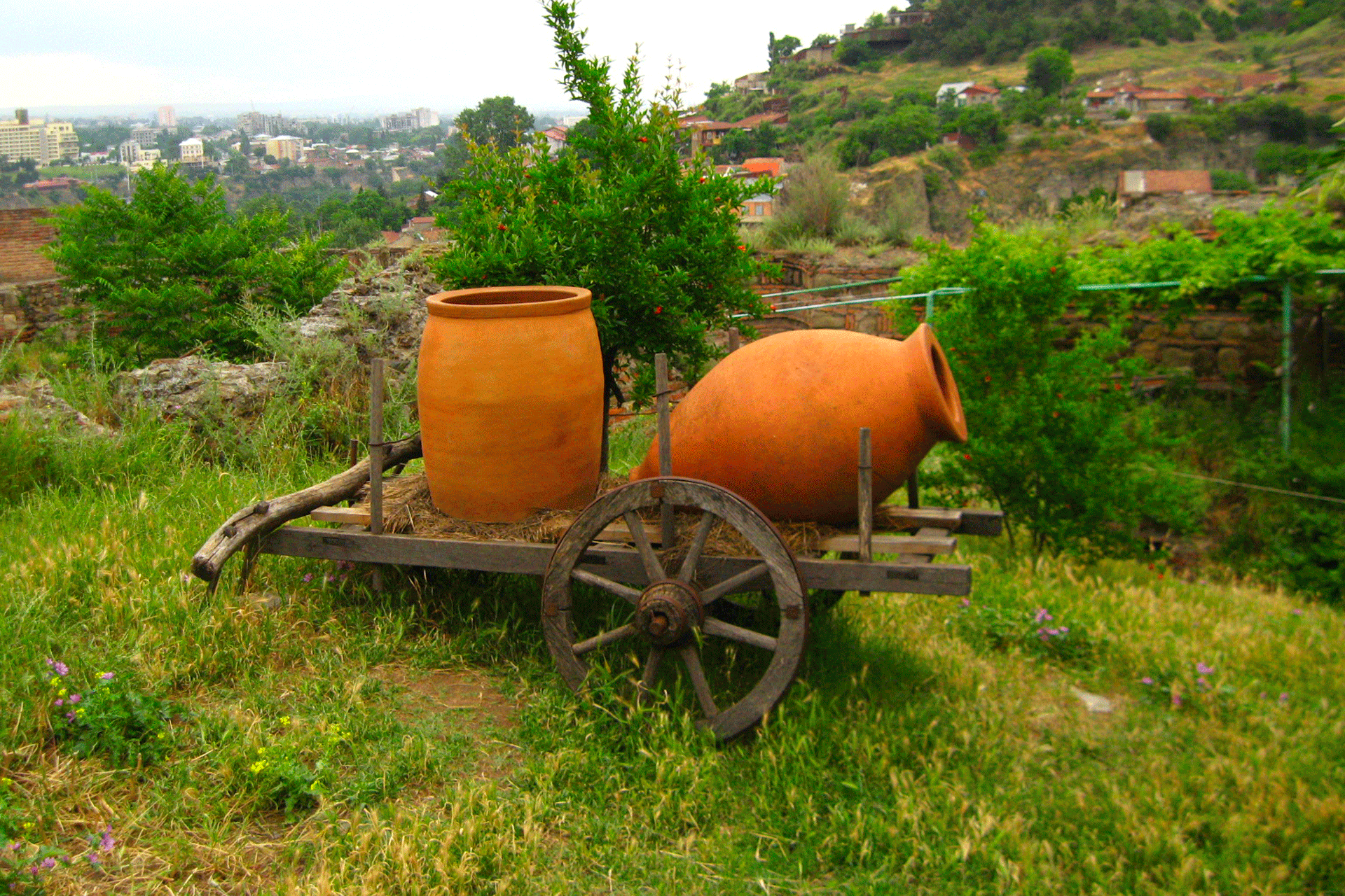 Georgien, Wiege und neue Grenze des Weltweinbaus