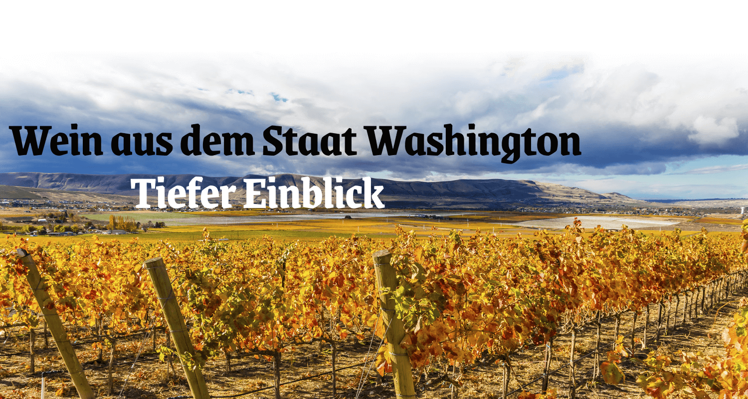 Wein aus dem Staat Washington - tiefer Einblick